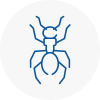 Ant Removals In Maghull