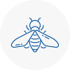 Bee Nest Removal Maghull