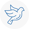 Bird Prevention Maghull