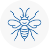 Maghull Hornet Nest Removals