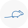 Mice Exterminators In Maghull