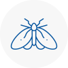 Moth Control Specialists In Maghull