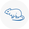 Rat Control Maghull
